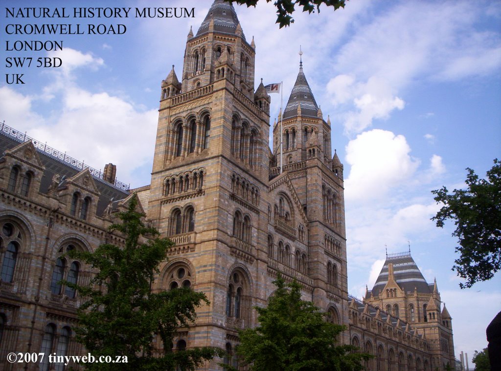 Natural History Museum by TinyWeb