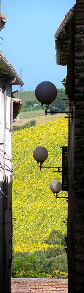 Cerreto e i girasoli by Luigi Barbadoro - "homo latitans"