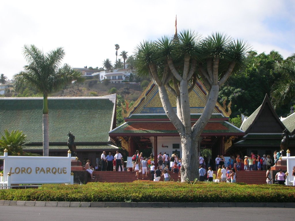 Loro Parque by Angela81