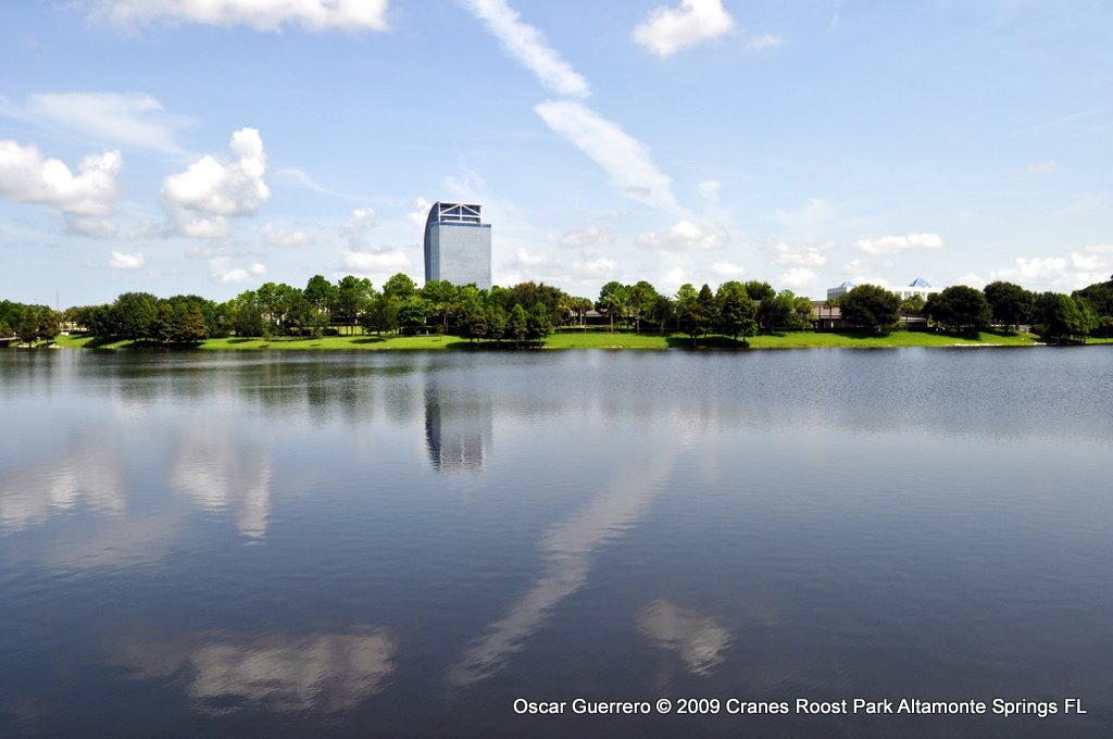 Cranes Roost Park, Altamonte Springs FL 08/01/2009 by Oscar Guerrero