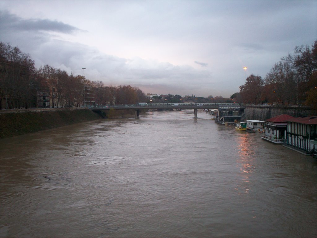 Tevere in piena da Ponte Regina Margherita by Harry Echigo (越後春仁)