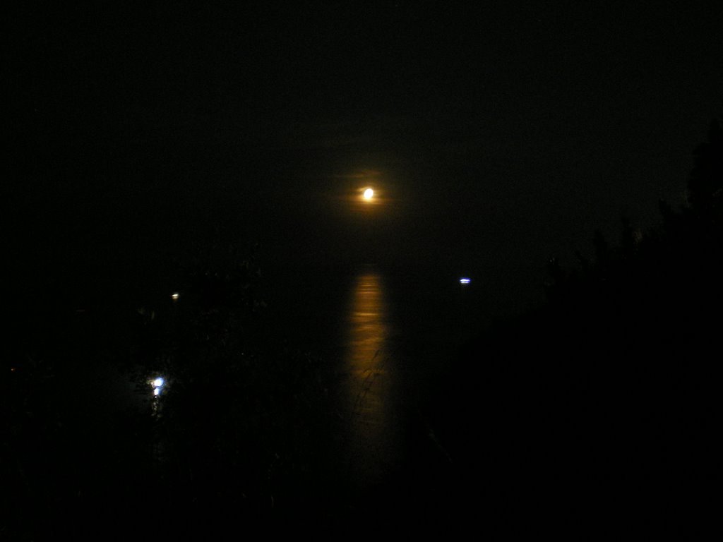 Paesaggio notturno dal Parco Virgiliano a Posillipo by dj_fabry