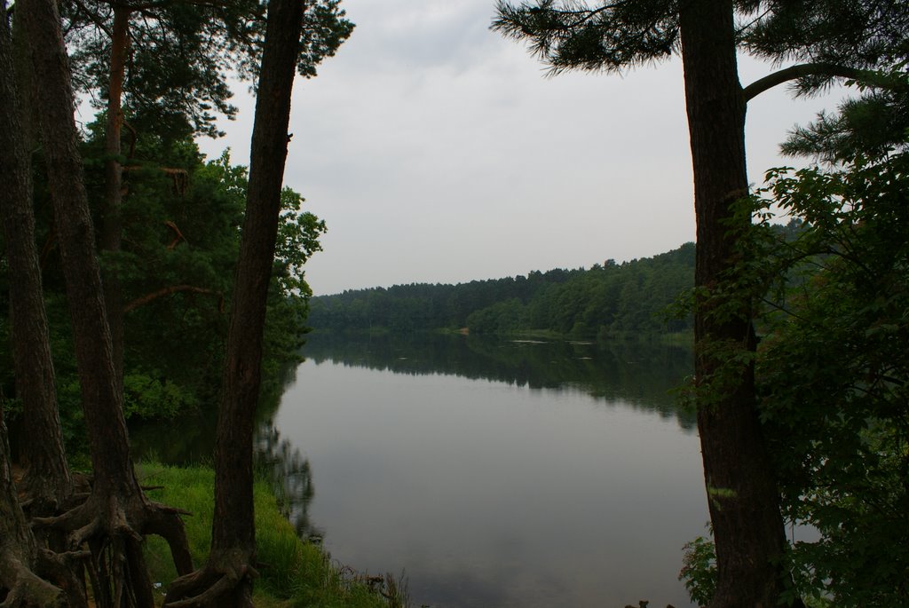 Brda river / rzeka Brda by Jarosław Szczepaniak