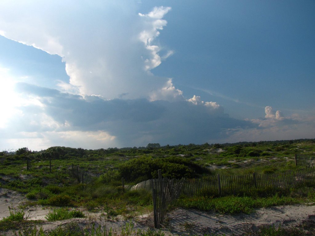 Little Talbot Island by Liam Wolff