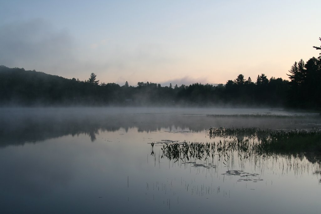 Early Morning Fog Aug 01 2009 by opg