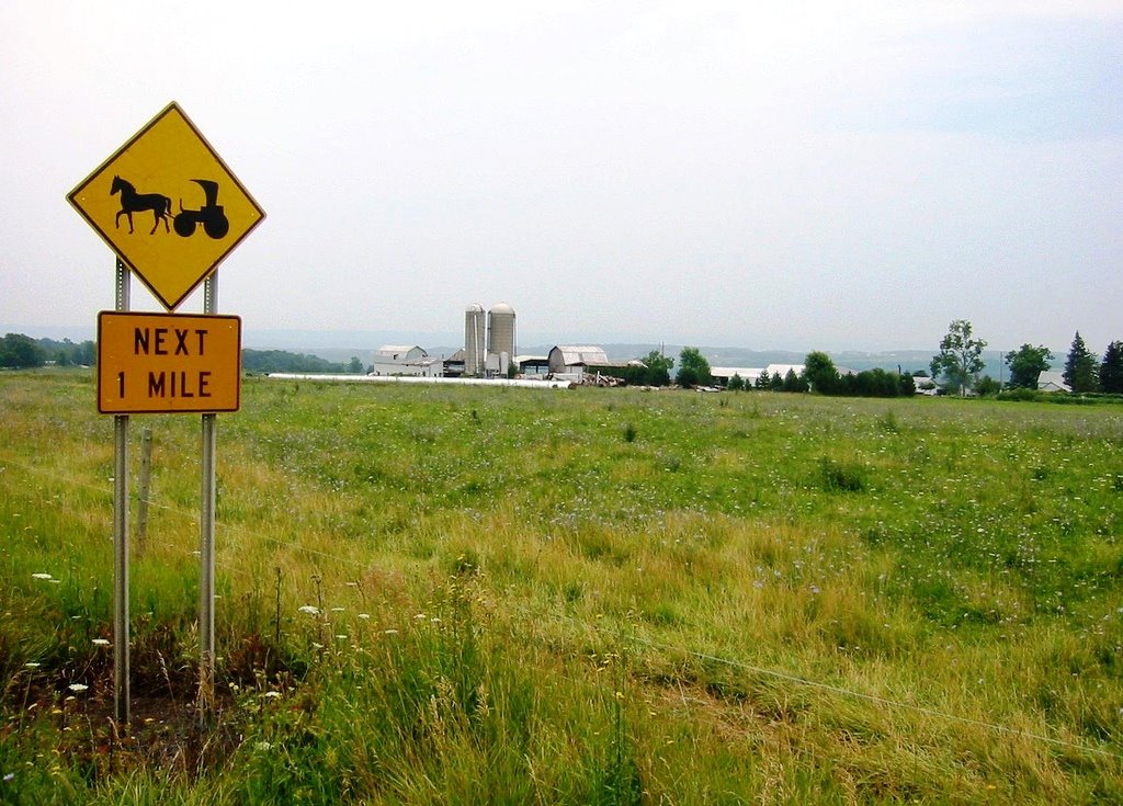 Amish Farm in NY State by ArtnScience