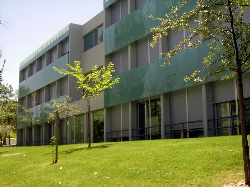 Facultad de Psicología by Ricardo Ricote Rodriguez