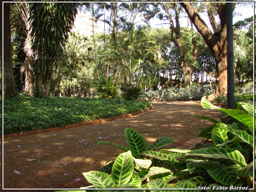 Praça da Independência - Araraquara - Foto: Fábio Barros by Fábio Barros