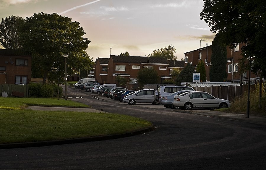 Skelmersdale-Castlehey o poranku by tadeusz dziedzina©