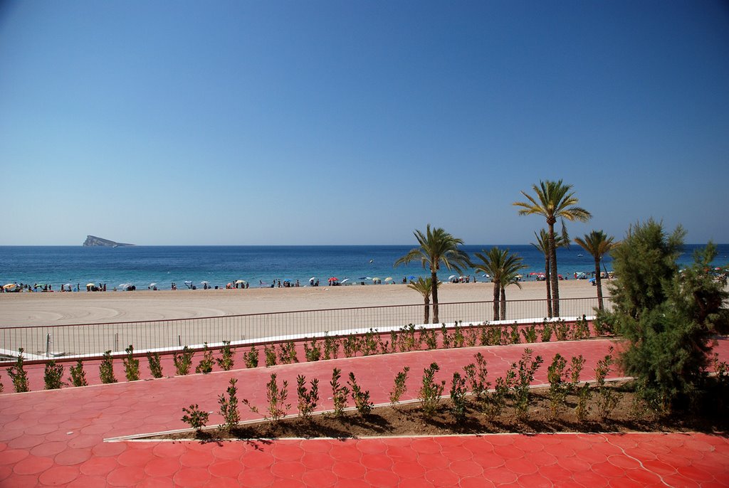 Paseo de Poniente, Benidorm by Ksenia Glukhova