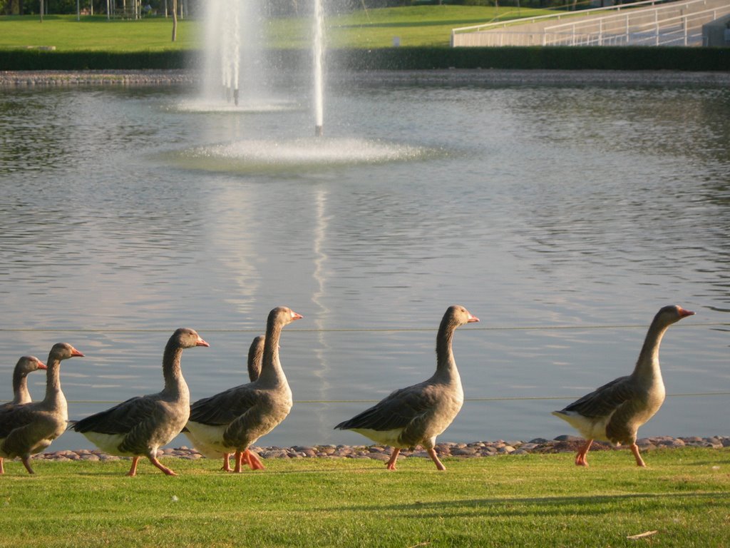 Parque Explora, Foro del Lago by Hari Seldon