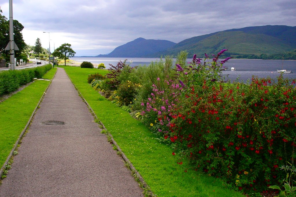 Fort William by Horta F