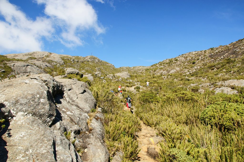 Caminhando sentido ao Pico da Bandeira, 2 by sgtrangel