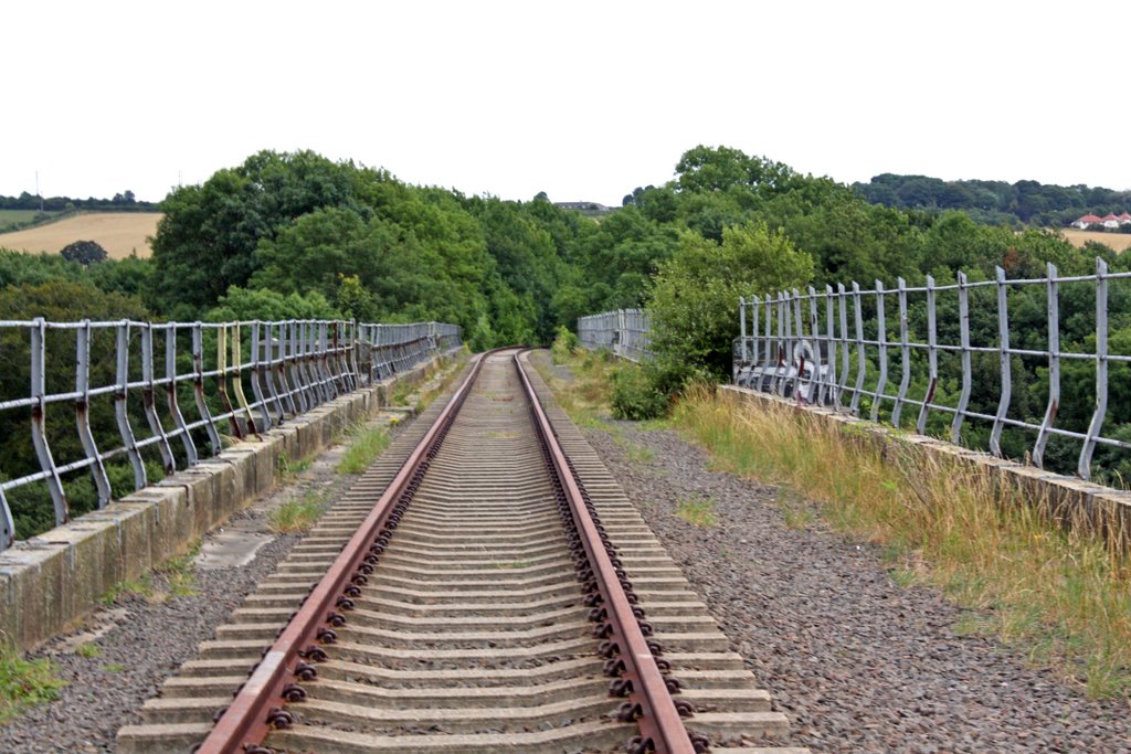 Victoria Viaduct, View Southbound. Track curves to site of Penshaw station. by ntandw