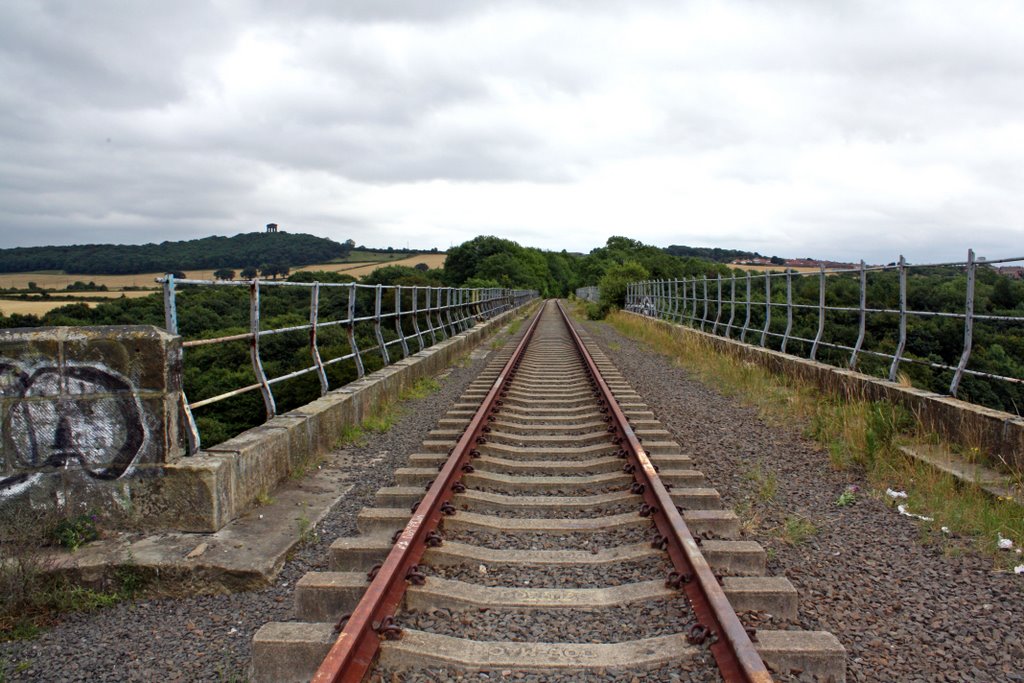 Victoria Viaduct & Penshaw Monument by ntandw