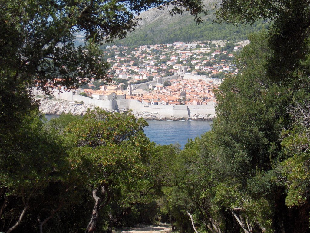 Dubrovnik seen from Lokrum by trichoco