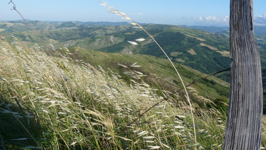 Fra la Valle del Sillaro e la Valle dell'Idice (giu. 09) by Andrea Tarozzi