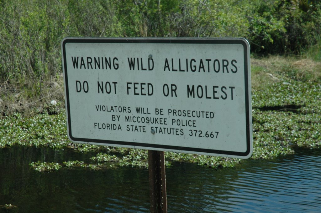 Alligator sign by Munters