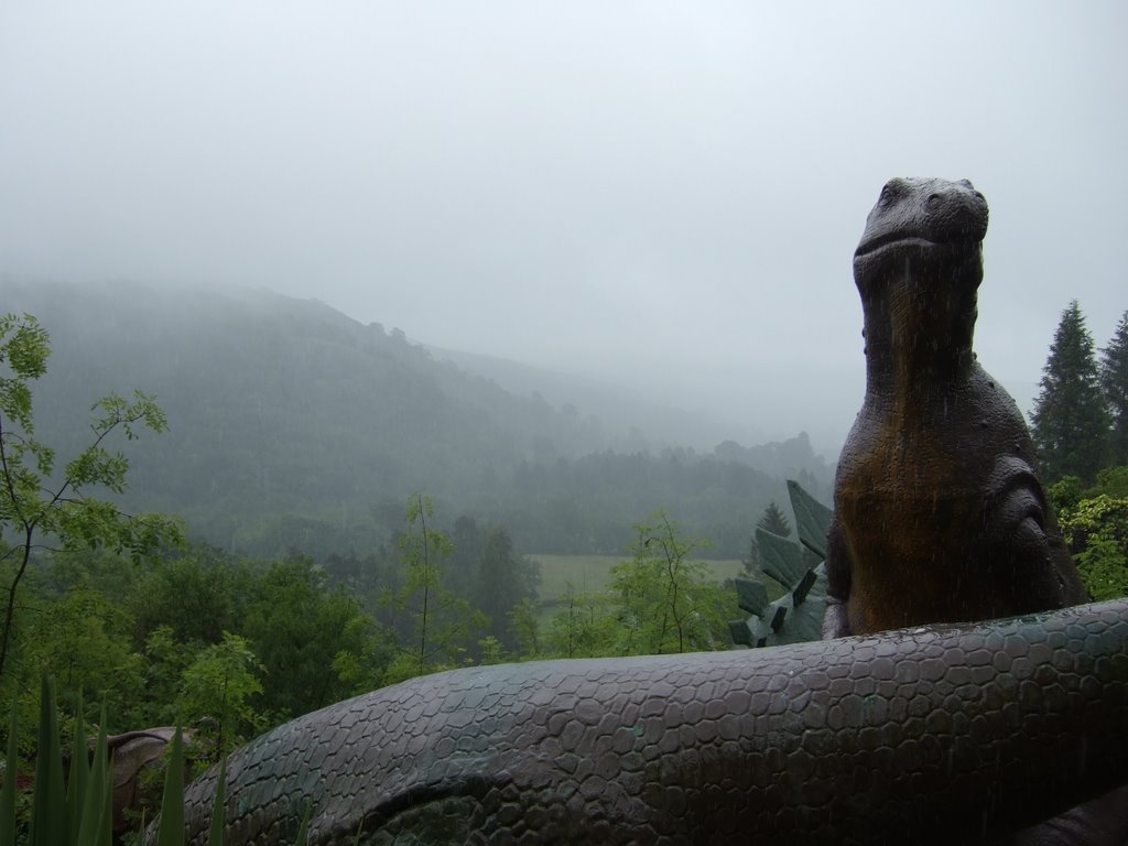 Dan Yr Ogof Caves by Brian McGrath