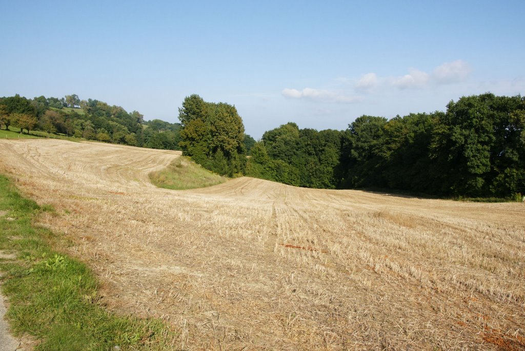 Vers le Mont Vully - après la moisson by Henry Imbert