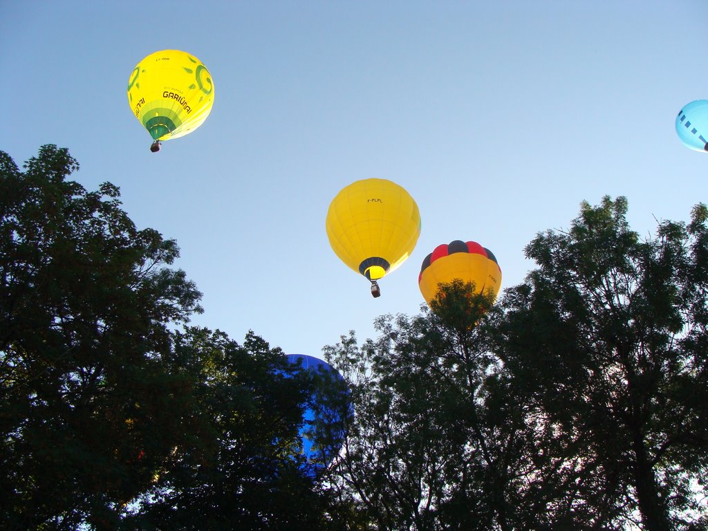 Angoulême: Biennal International Hot-Air Balloon 8 by zacamm