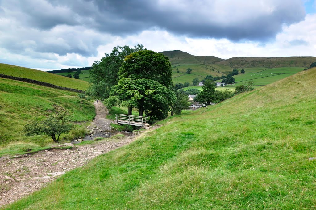 Looking down Cumberland Brook by Bob McCraight