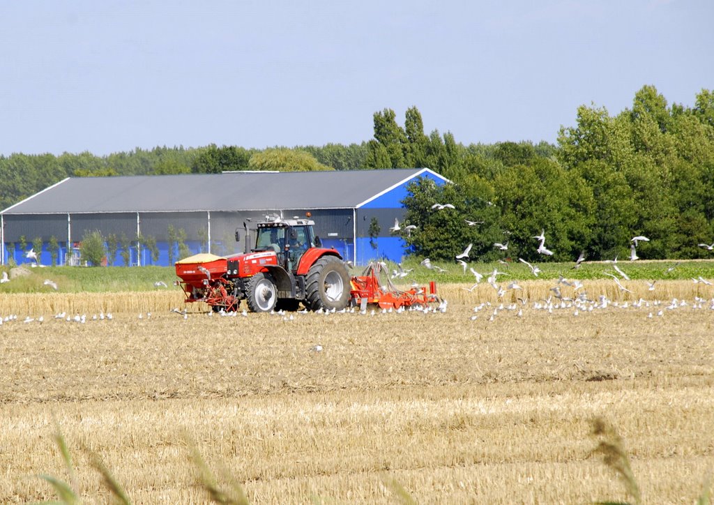 Klaarmaken voor de volgende oogst. by Arij M van Waart