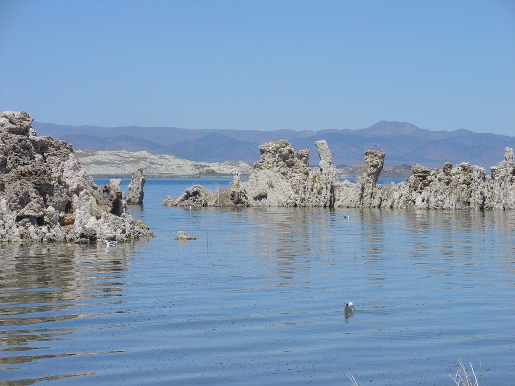 Mono Lake by Kathi Kaiser