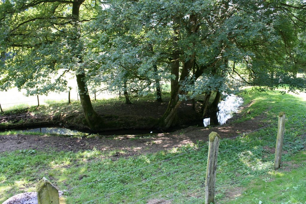 Petit ruisseau à l'extérieur de Nant le Petit by Cyril Auboin