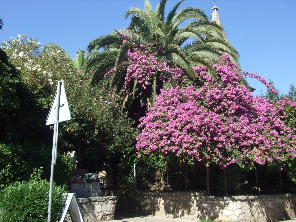 Trogir Croatia Nice park near Centrum Trogir by Croatia relax Mr.Lis…