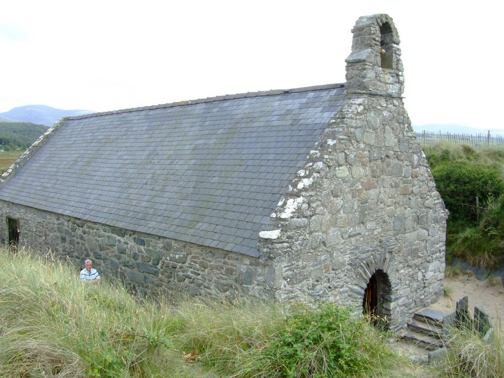 Rescued from the sand dunes, Llandanwg by Andrew Davis