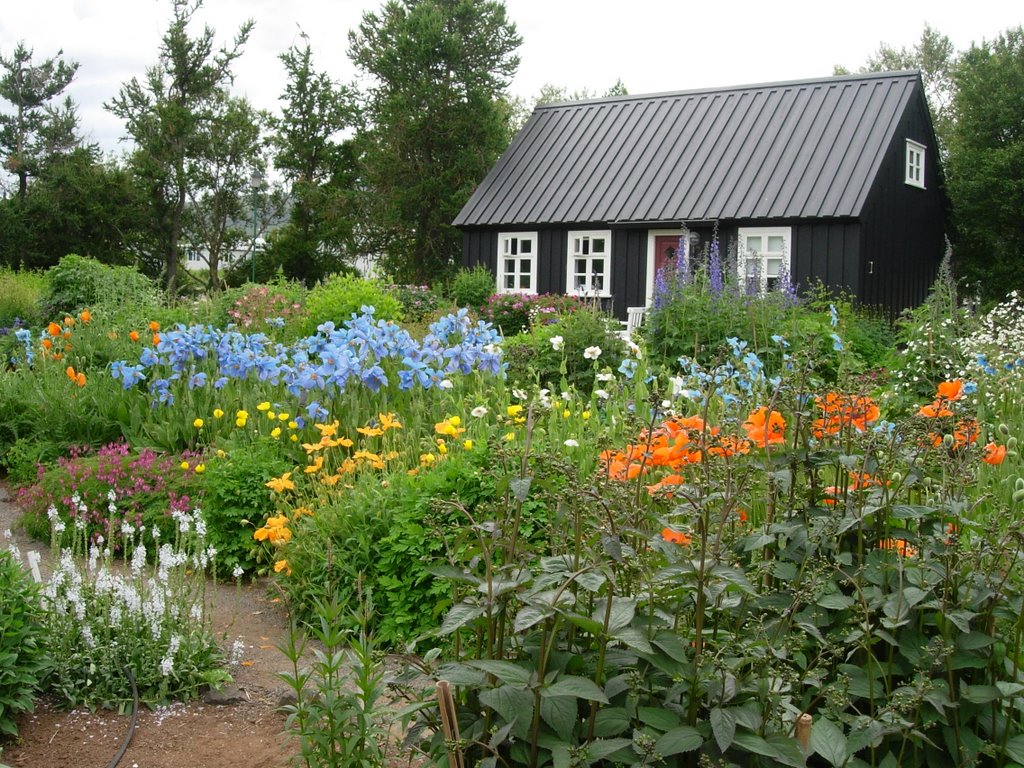 Jardi botanic de Akureyri by david freixenet