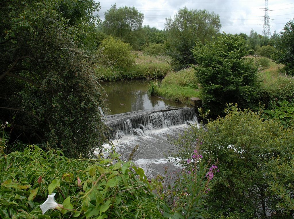 River Darwen by David Humphreys