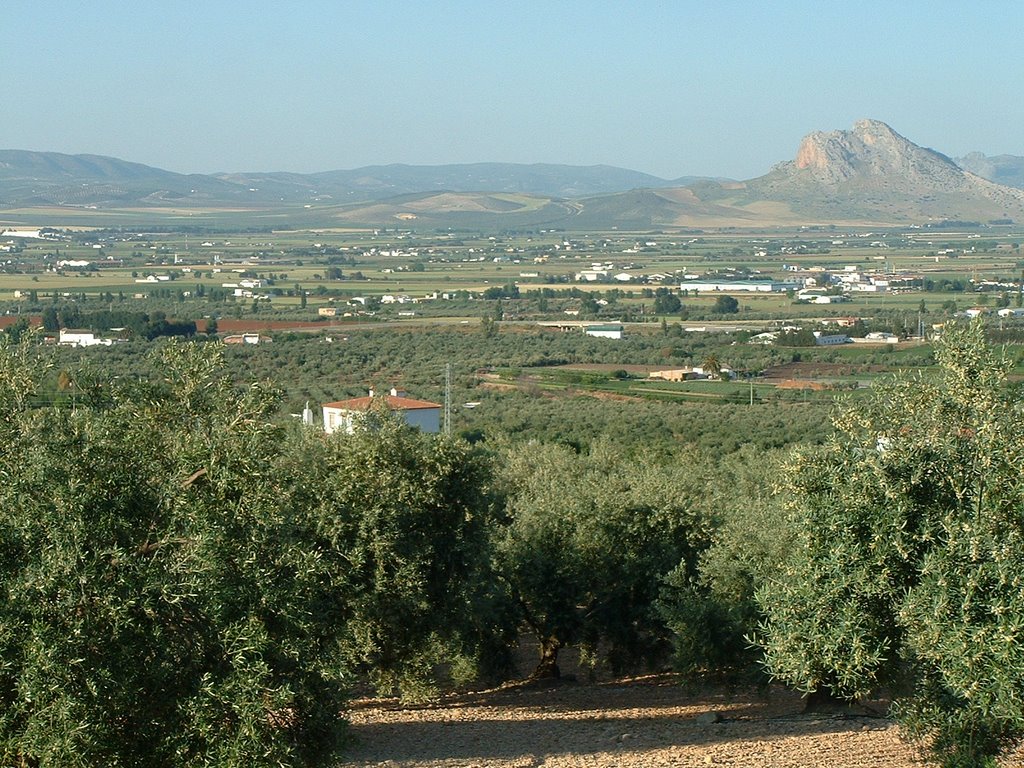 Countryside near Antequera by Mark Wijnen