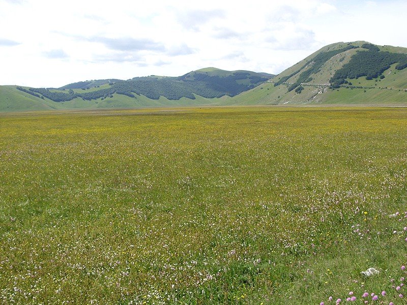 Piana di Castelluccio di Norcia by Geobia7