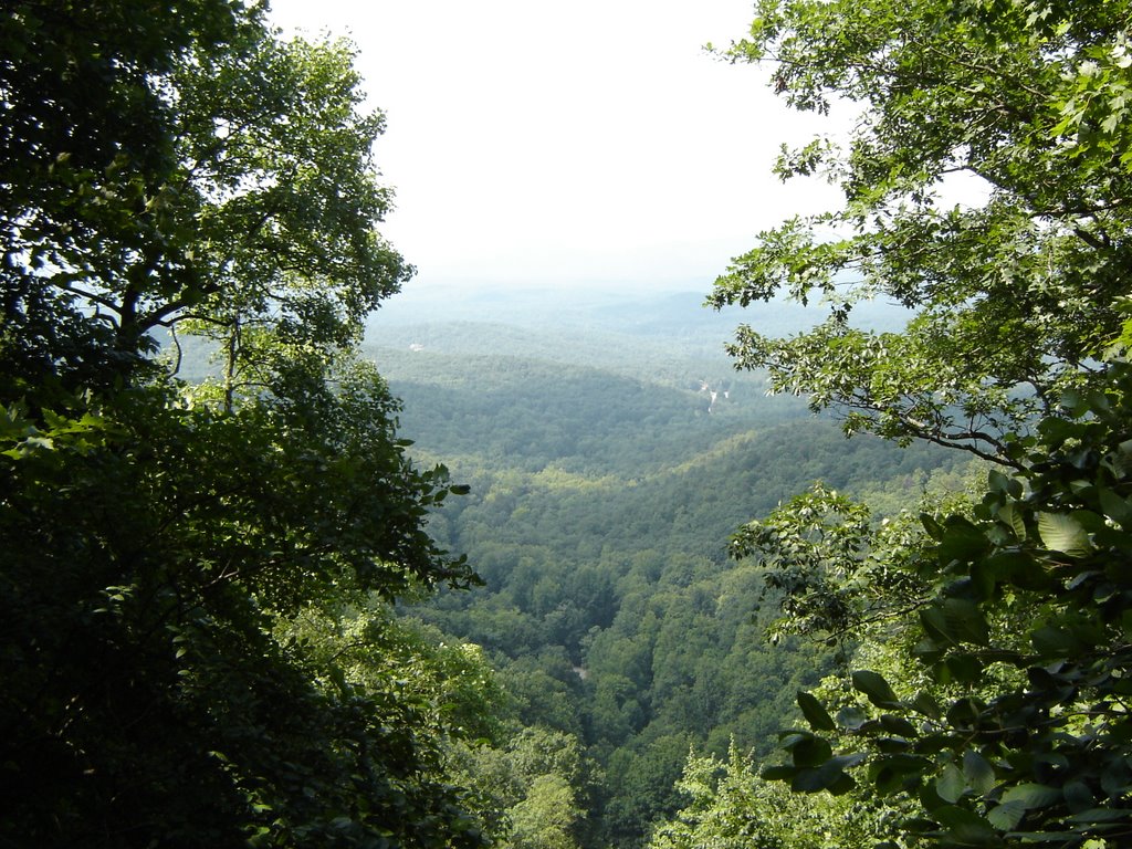 Mountain View from Top of Amicalola Falls GA by Chanilim714