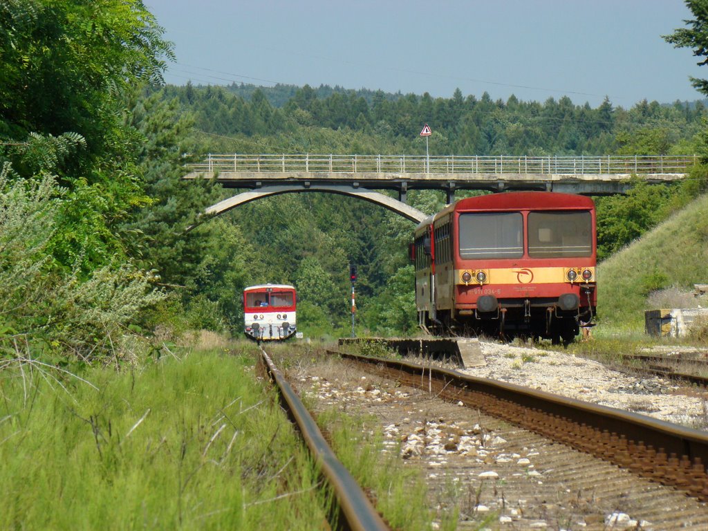 Trains in Poriadie railway station - 340° by Didi_MY