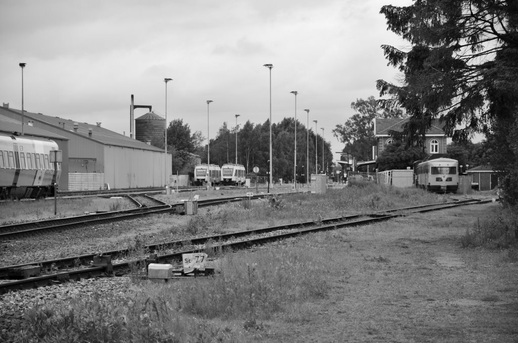 Station Winterswijk by M.F. Naaldenberg