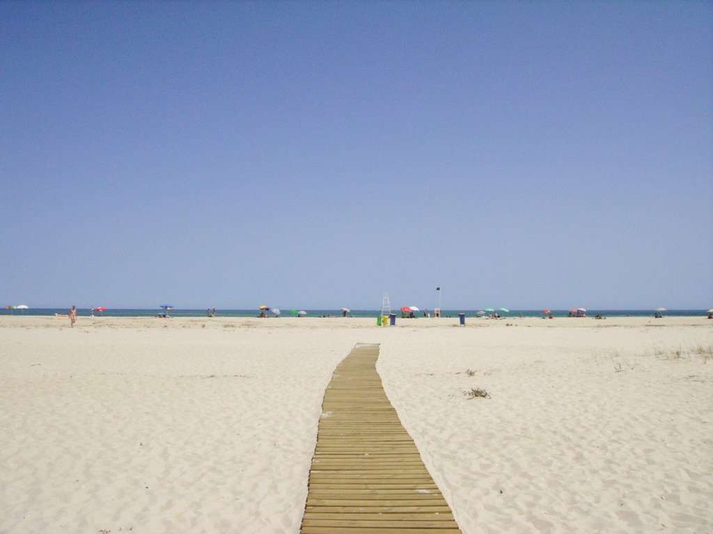 Ilha da Armona - Olhão - Portugal by José Pereira