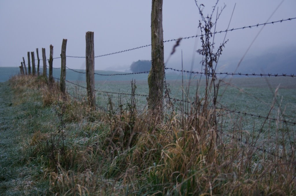 Fenceline on a Cold Morning by T_R_Hoffman