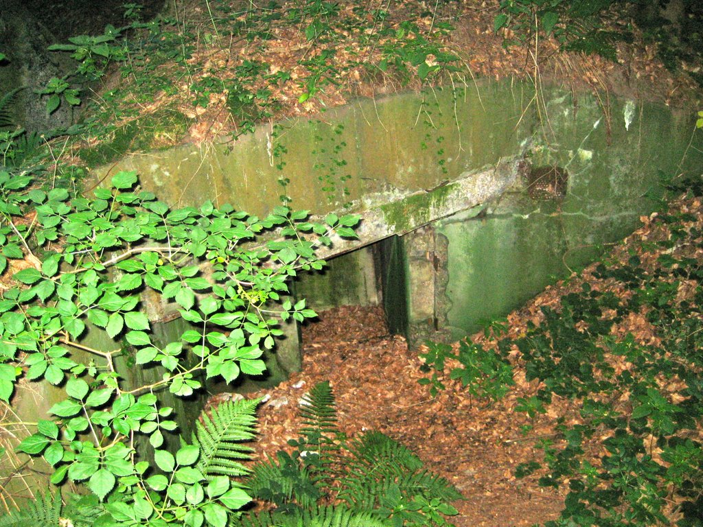 Weltkriegs Bunker by elarnoldo