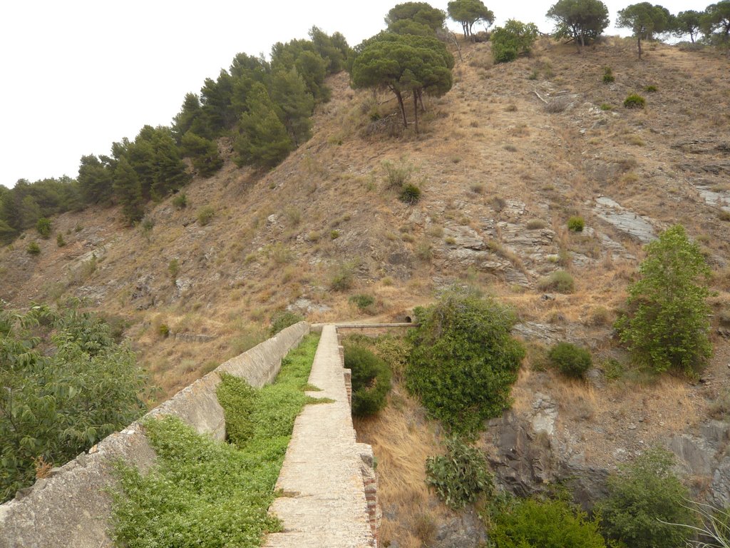 Cdad. Jardín, Málaga, Spain by georama