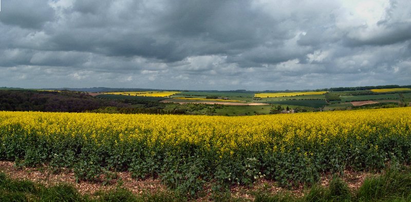 Near Compton Abdale, Gloucestershire by RobLittle