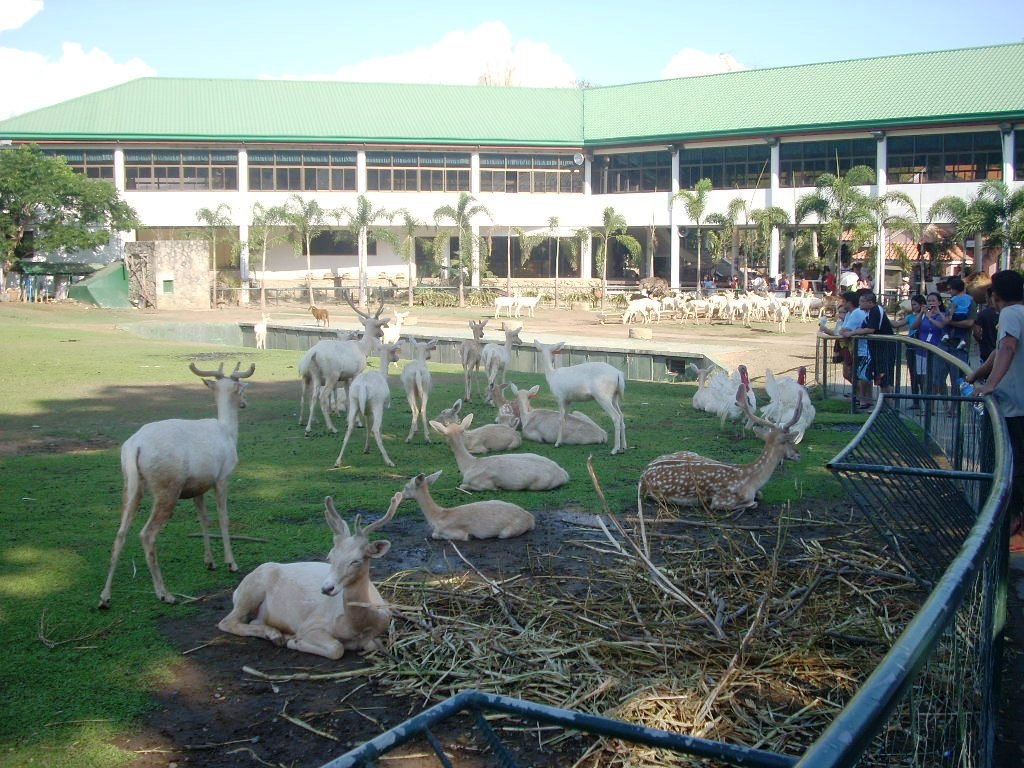 Baluarte by sherwin_magayanes