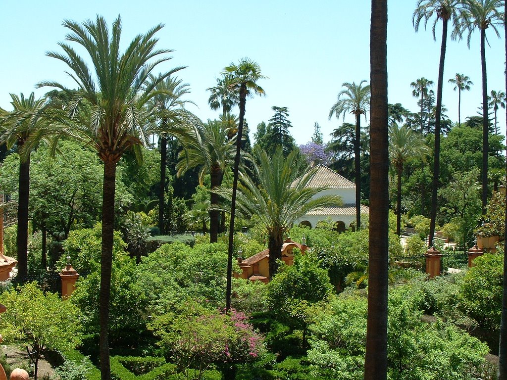 Sevilla - Real Alcazar, garden by Mark Wijnen