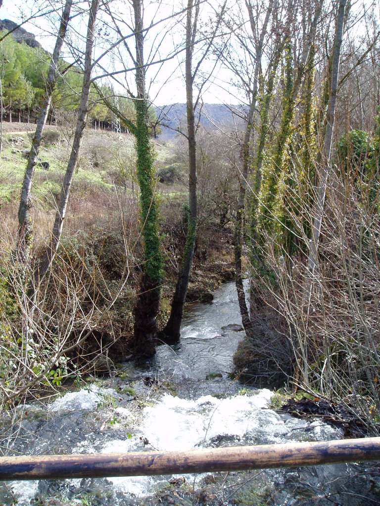 Arroyo en San Roque by Alberto Asensio