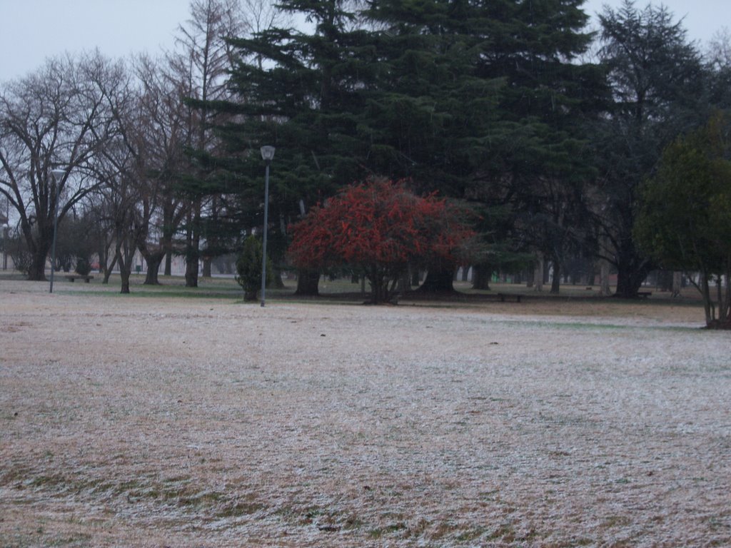 Plazoleta con nieve by silvia andrea