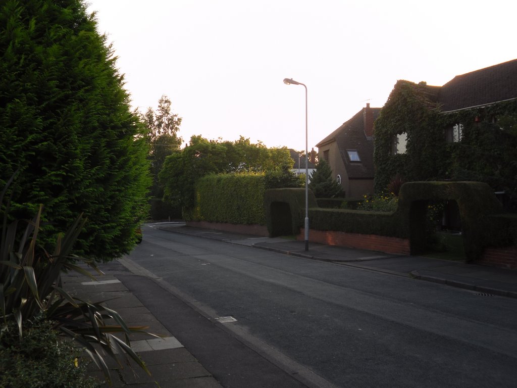 Ewenny Road at Sunset by pano43