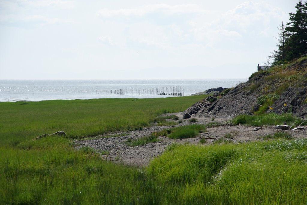 Marée basse et pêche à l'anguile by nicoleG