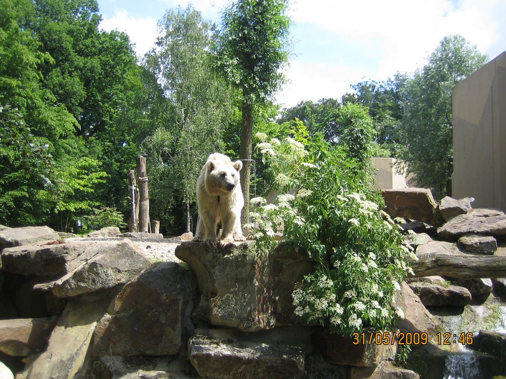 Allwetterzoo Münster by ::Dilek::